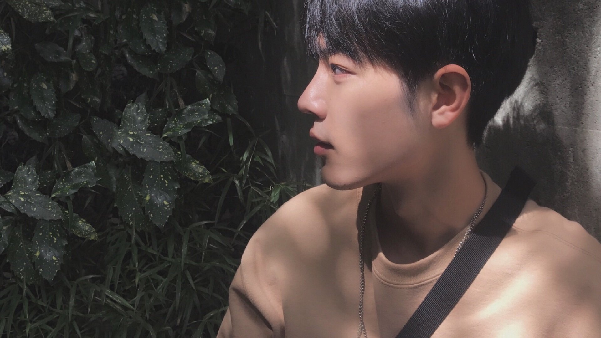 魔笛终章，布鲁诺双面神迹，塞维利亚一剑封喉墨西哥王座