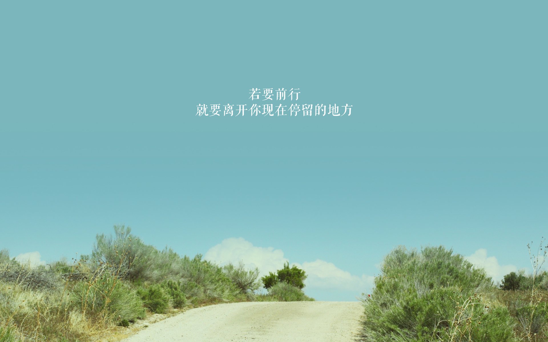 体育在线-切特的木秀于林，当沉默的独角兽在东北虎群中刻下年轮